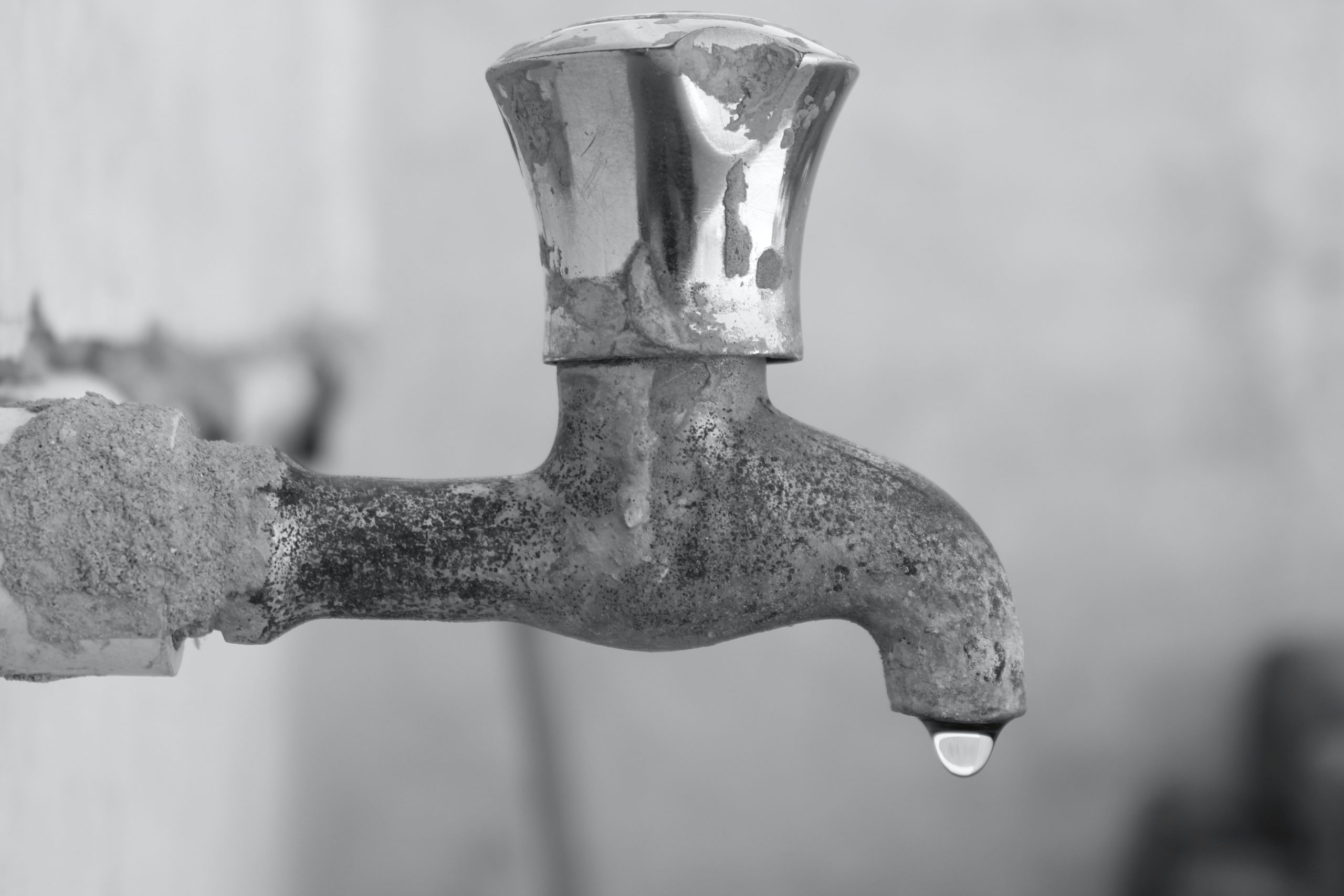 How to Save Water While Living in a Rental Home